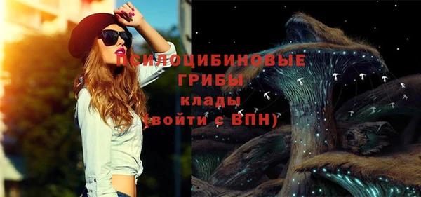 таблы Белокуриха